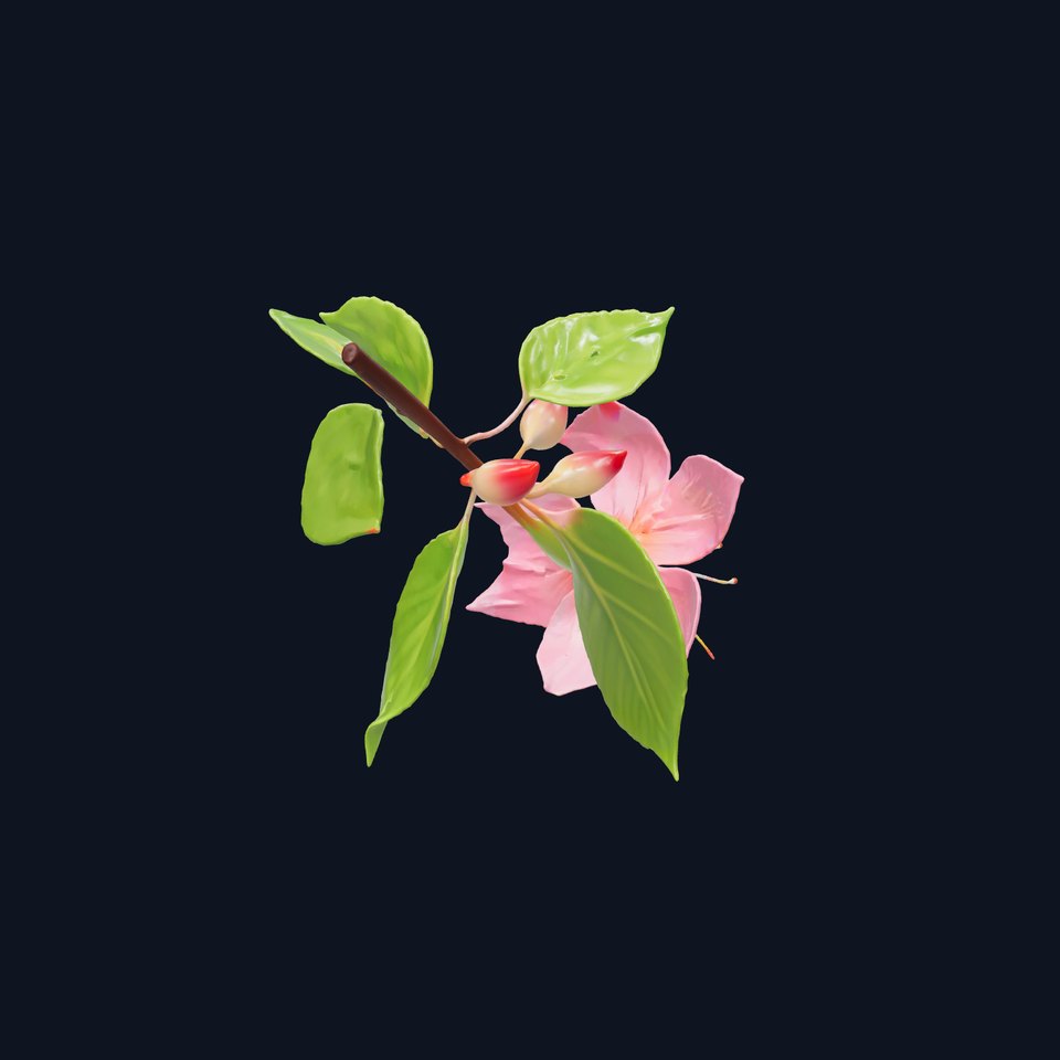 Honeysuckle Flower Realistic 3D Model Pack